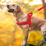 Adjustable Pet Walking No Pull Training Harness - Preppypetslife