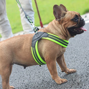 Reflective French Bulldog Harness, Easy Control Service Dog Harness for Medium Dogs Training Walking, Adjustable Reflective Pet Harness - Preppypetslife