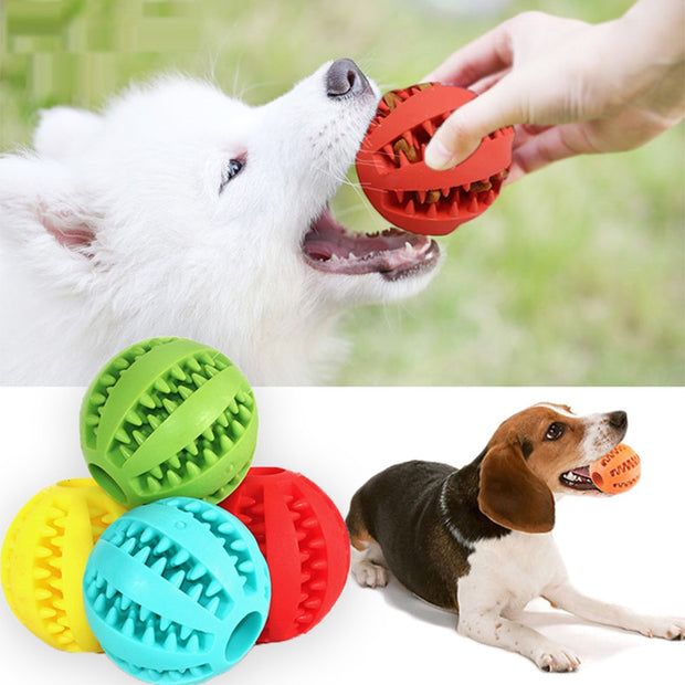 Interactive Rubber Balls Chewing Toy, Non-Toxic, Natural Rubber, IQ Training, Dog Treat Ball - Preppypetslife