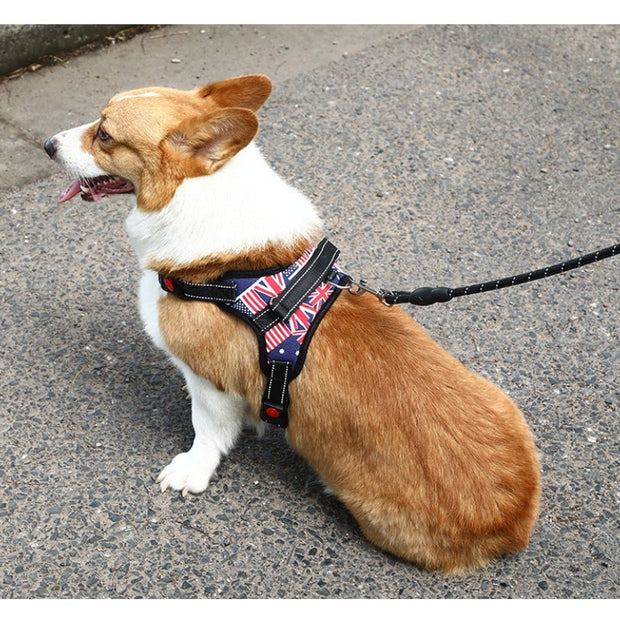 Nylon Heavy Duty Pet Harness, No Pull Breathable Padded Dog Leash, Dog Safety Harness - Preppypetslife