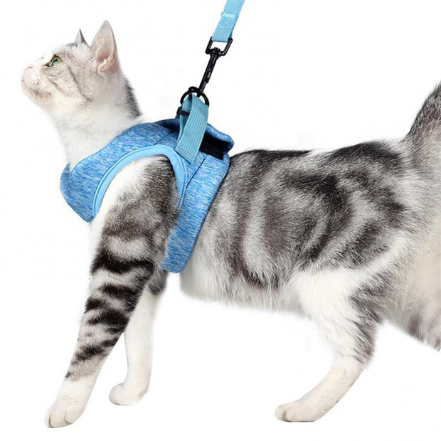 Leash Harness Cat Solid Color Chest Strap Elastic Walking Small Pet Supplies Harness And Leash set For cats