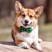 Bow Tie Plaid Dog Collar, Dog Bow Tie, Vaburs Dog Collar With Bow Tie, Buckle Light Plaid Dog Bow Tie - Preppypetslife