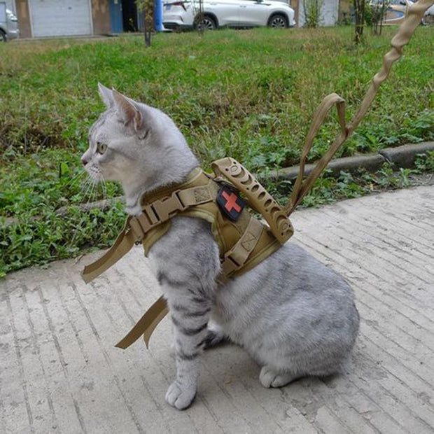 Tactical Cat Harness Small Dog Collar Adjustable 600D Nylon Pet Traction Kitten Escape Proof Cat Vest Pet Cat Harness Belt