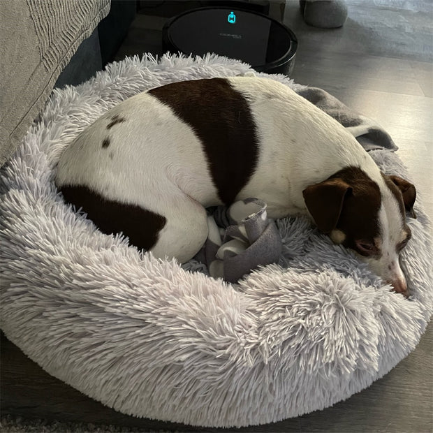 Super Soft Pet Round Bed - Preppypetslife