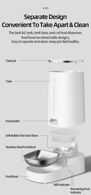 Automatic Cat Feeder Pet Smart WiFi Cat Food Kibble Dispenser Remote Control Auto Feeder For Cat Dog Dry Food Accessories